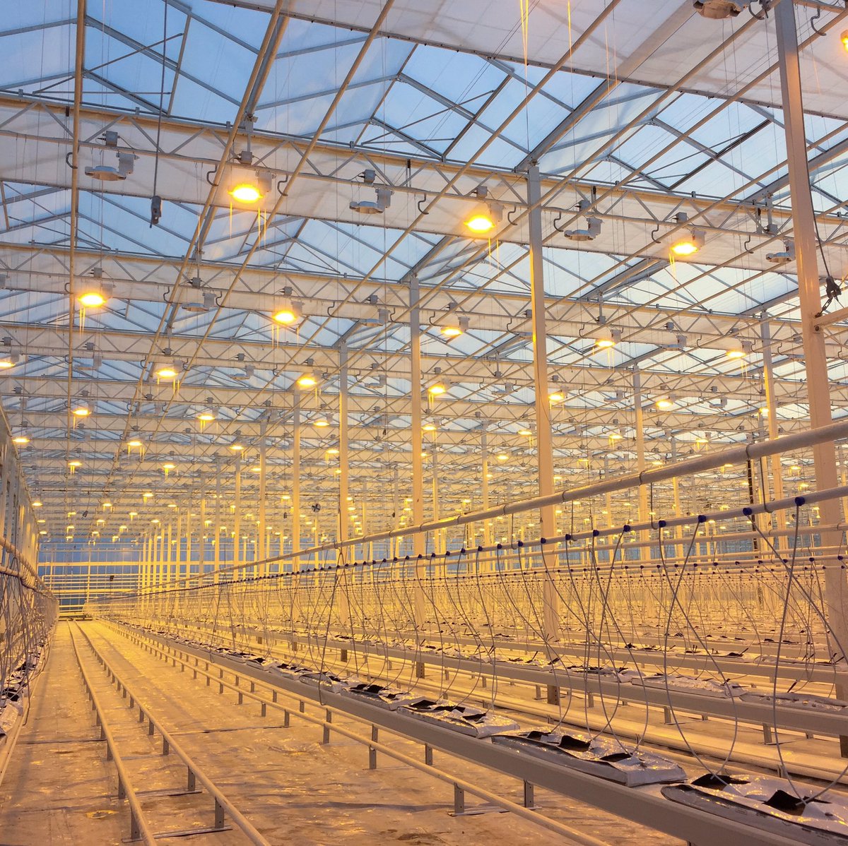 Testing the Lights in Our New Expansion