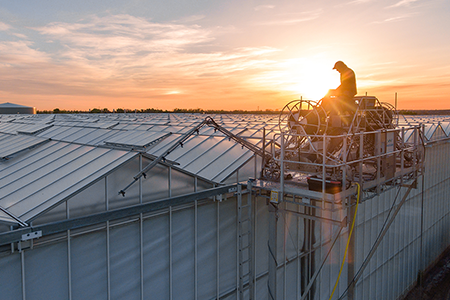 Coating the greenhouse roof