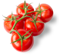 Tomatoes